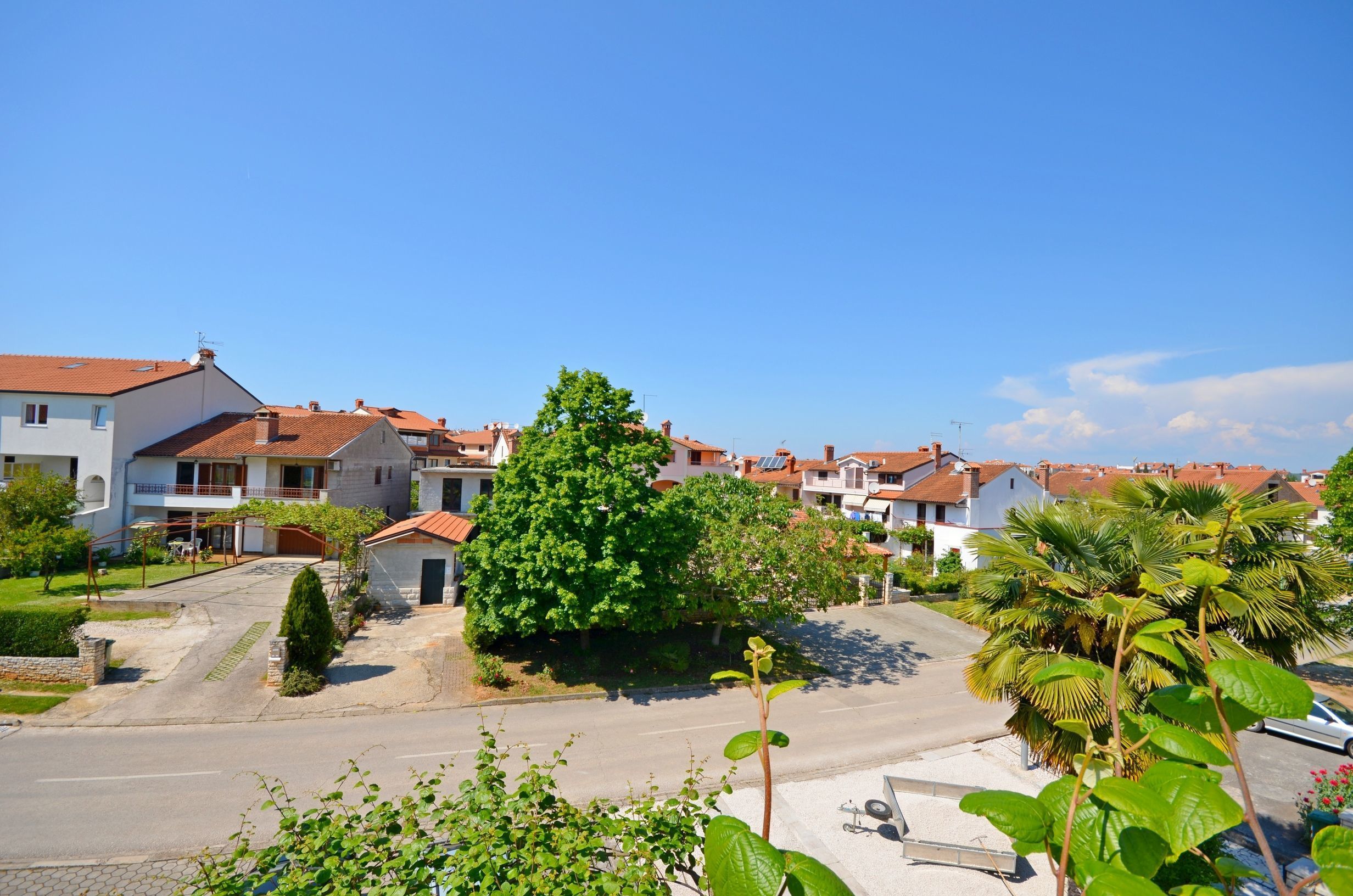 A residential area with houses, a central tree, and a street.