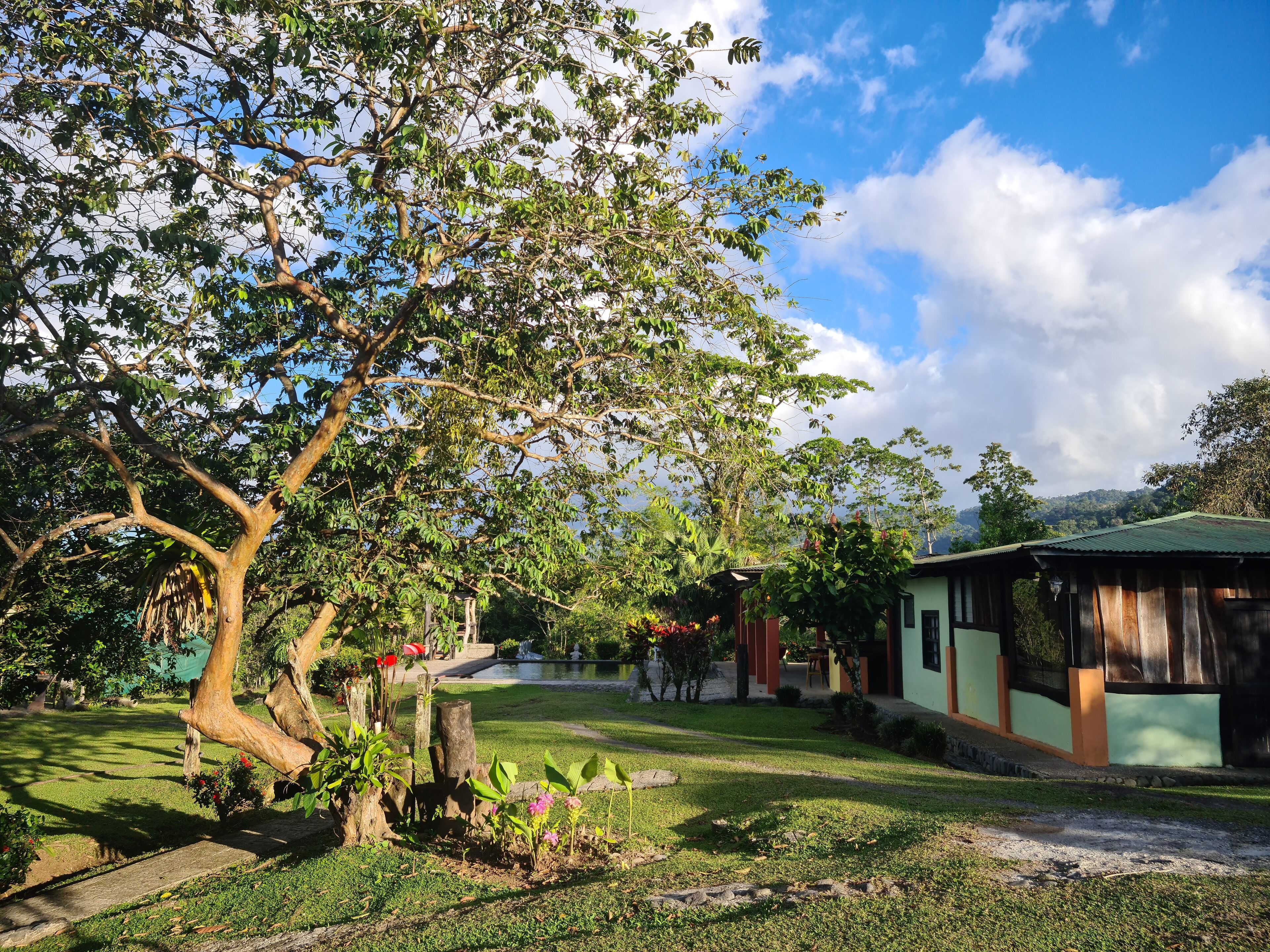 Photo - Los Gallitos Eco Lodge