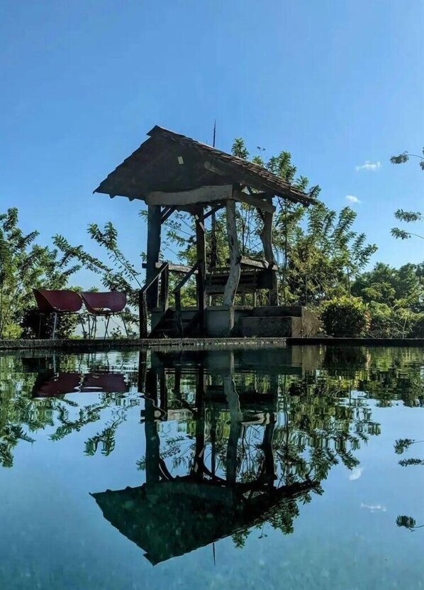 Outdoor pool - Los Gallitos Eco Lodge (Sarapiquí)
