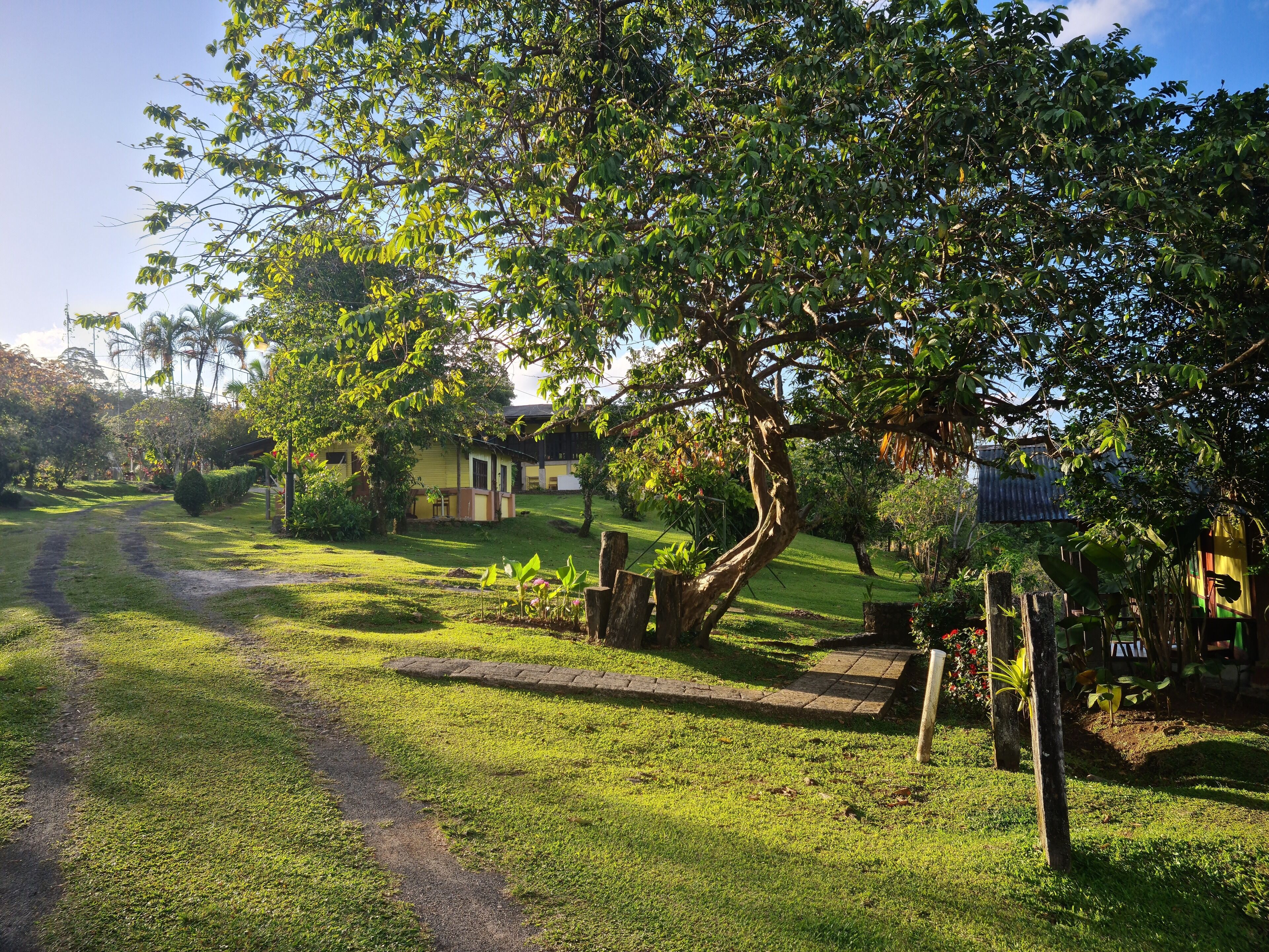 Photo - Los Gallitos Eco Lodge