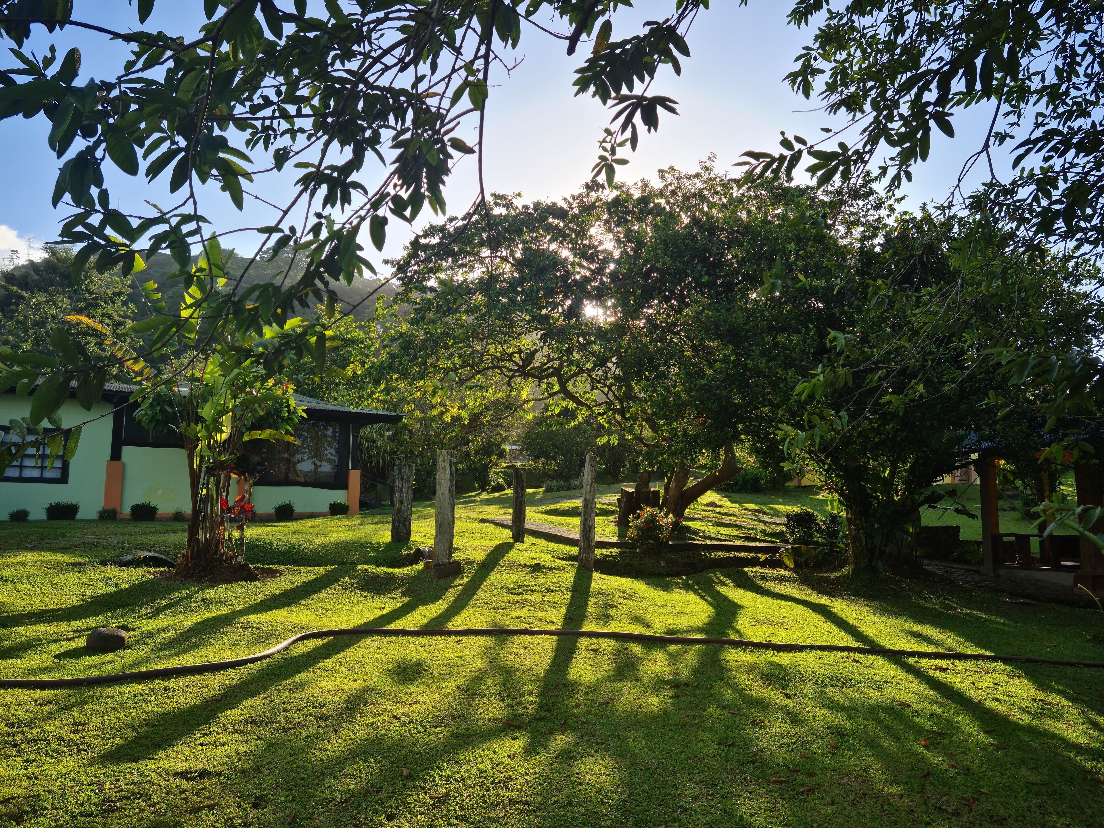 A well-maintained garden with a lawn, trees, and a building with a green roof.