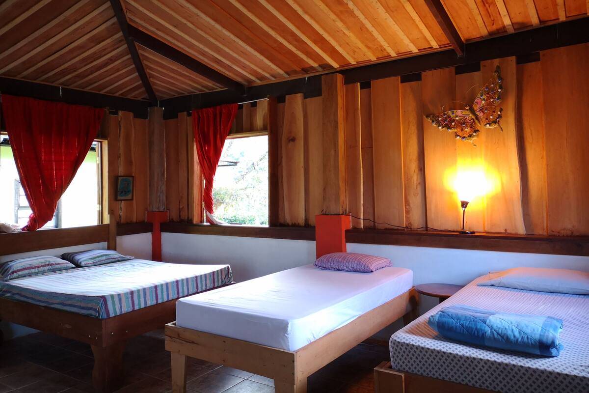 A cozy room with two wooden beds, a red curtain, a wall-mounted lamp, and a window with a view of greenery.