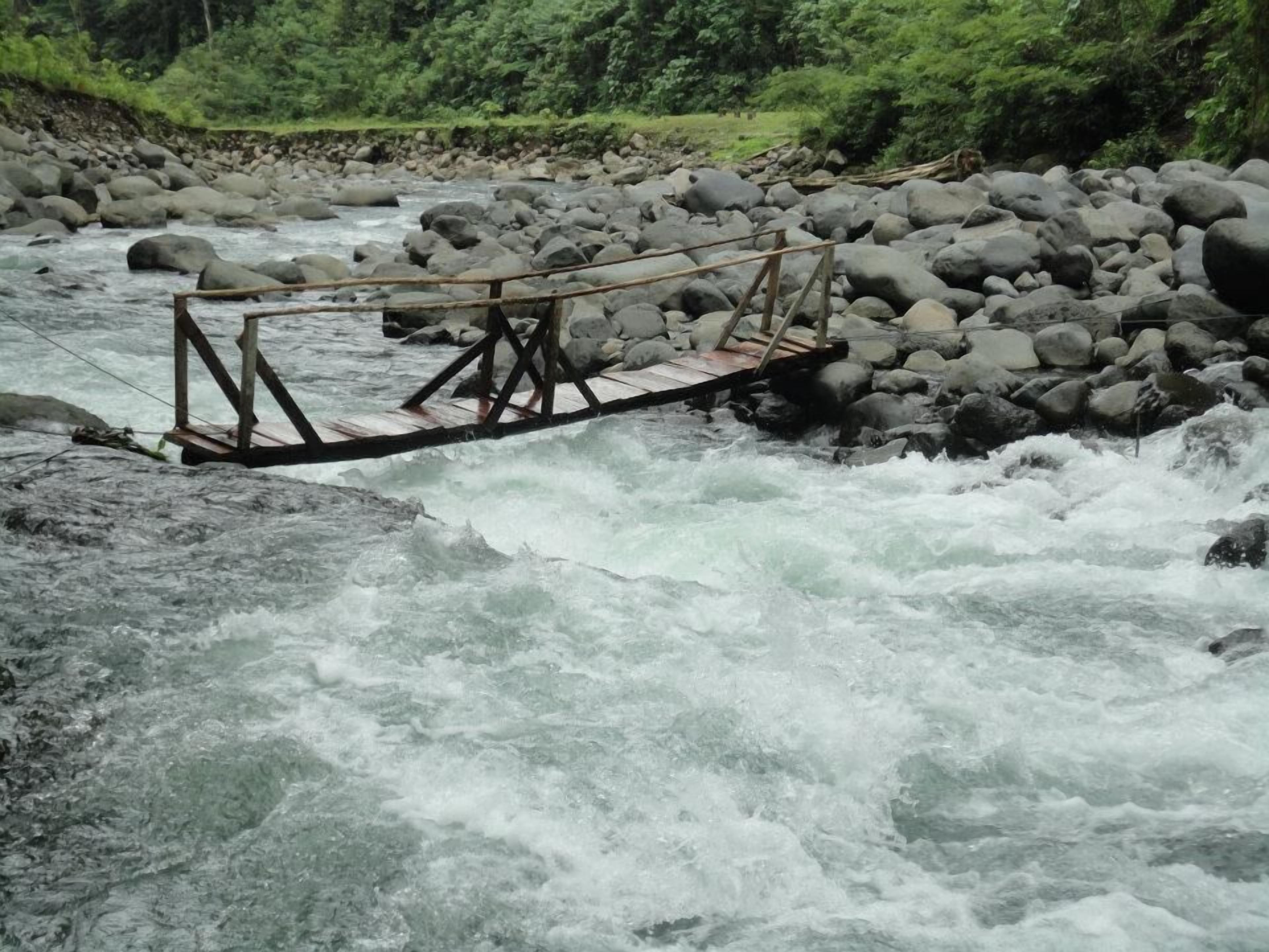 Photo - Los Gallitos Eco Lodge
