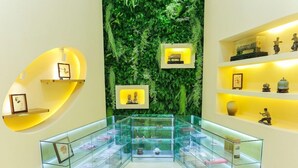 A lobby with glass display cases containing various items, a green wall with plants, and shelves with framed pictures and small statues. - Guangzhou Easun Guotai Hotel (Guangzhou)