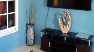 A living room with a blue wall, a flat-screen TV mounted above a dark wooden entertainment unit, a potted plant, and a patterned rug.