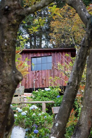 Exterior - Cabañas Alla Arriba (La Palma)