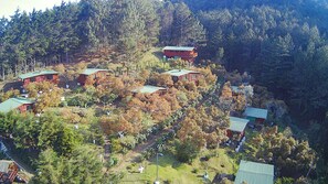 Exterior - Cabañas Alla Arriba (La Palma)