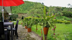 Un patio con una mesa, sillas, un paraguas rojo y plantas en macetas.