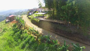 Una propiedad en una ladera con camino de tierra, construcciones de madera y abundante vegetación.