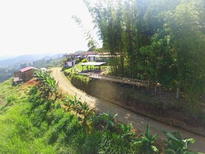 Free WiFi, bed sheets, wheelchair access - Finca Hotel Los Guayacanes (San José)