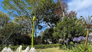 Unclassified image, 2 of 30, button - Villa Ilusión CR (San José)
