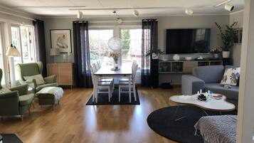 TV, fireplace, video games, table football