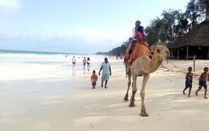 A beach scene with a camel and people walking on the sand.