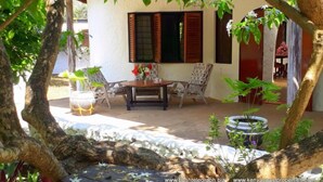 Un espace extérieur aménagé en terrasse, avec une table et des chaises, entouré de plantes en pot et agrémenté d’une fontaine décorative.