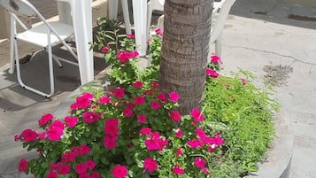 住宿场地