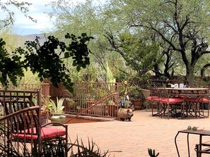 An outdoor patio with rustic furniture, a pig sculpture, and a variety of plants.
