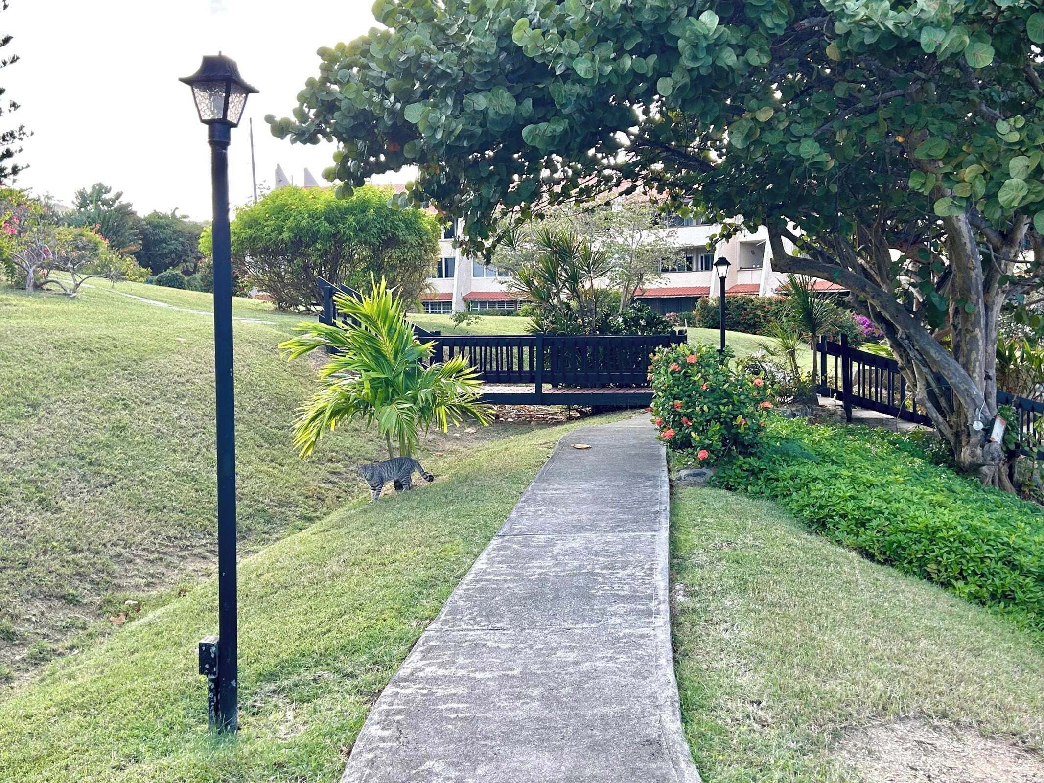 Un sentier qui traverse un jardin bien entretenu, agrémenté d’un lampadaire, de bancs et de diverses plantes.