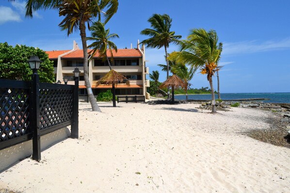 A beachfront property with a two-story building, palm trees, and a sandy beach.