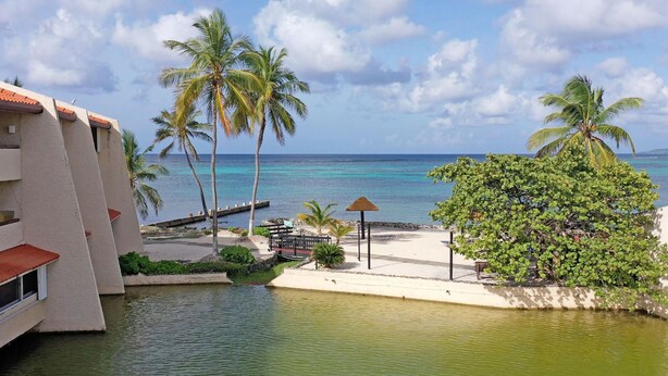 A resort with a pool, palm trees, and a beach view. - Waterfront Condominium Complex with Beautiful Sea Views 3 Bedroom 3 Bath  (Christiansted)