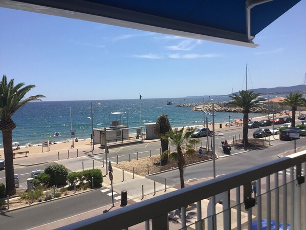 Une rue côtière offrant une vue sur la mer, bordée de palmiers et de voitures garées.
