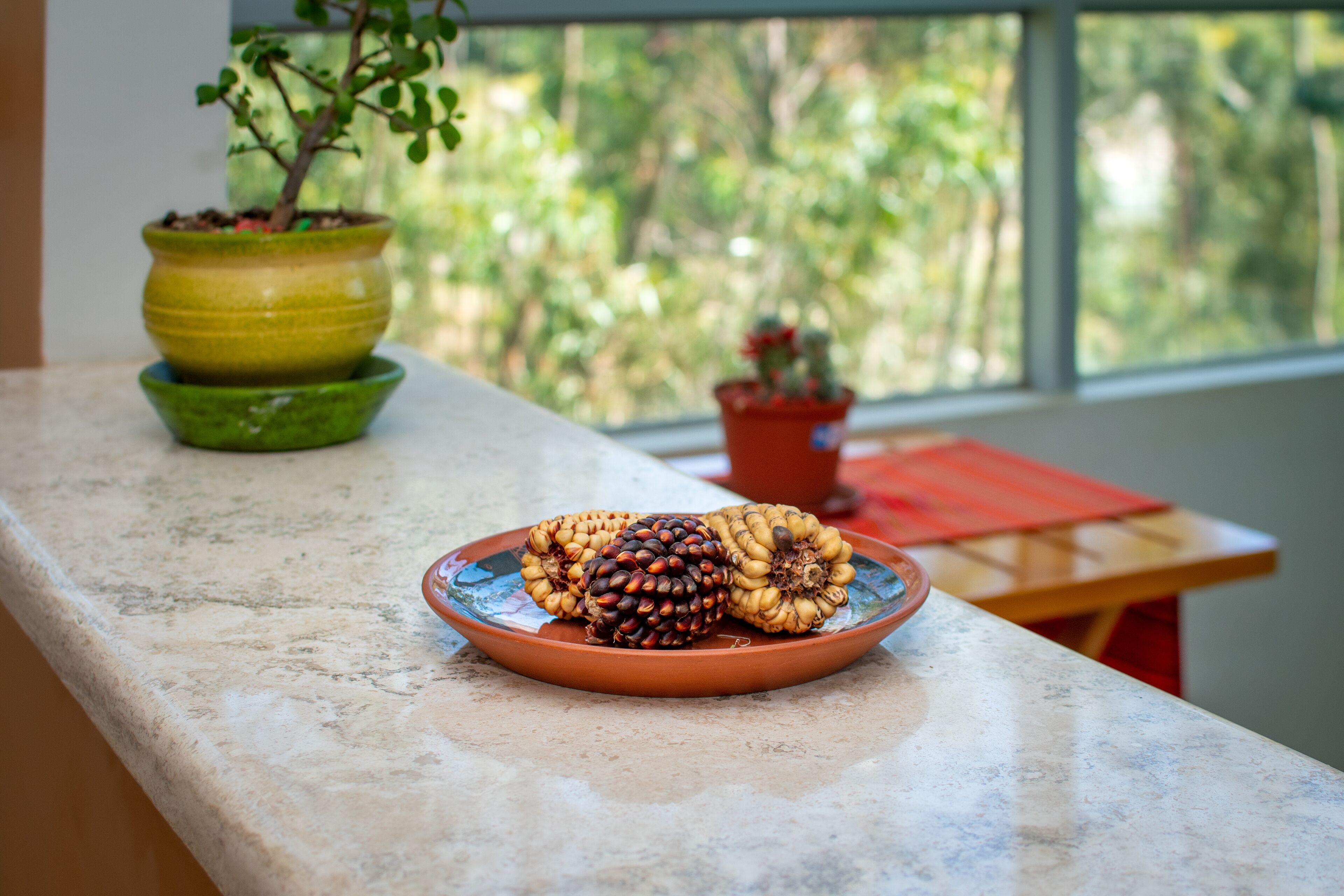 A kitchen counter with a plate of pineapples and a potted plant.