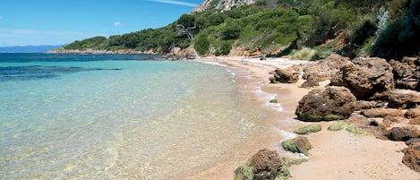 海灘