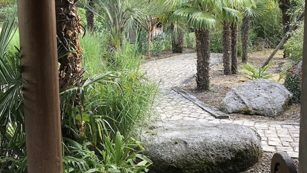 Eine Holzterrasse mit einem Steinweg, umgeben von Palmen und tropischen Pflanzen.