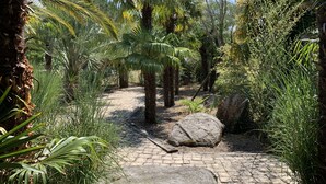 Ein gepflasterter Weg, umgeben von üppiger Vegetation, darunter Palmen und verschiedene Pflanzen.
