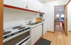 Un angolo cottura compatto con fornello, forno a microonde e lavandino.