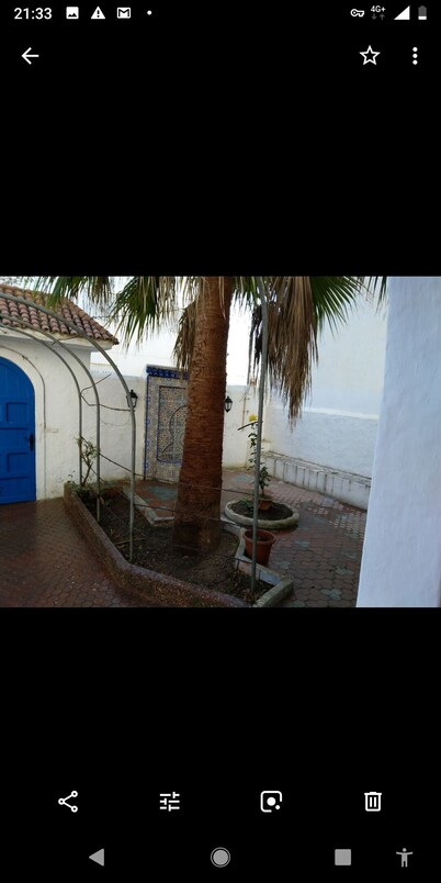 Very large villa by the sea