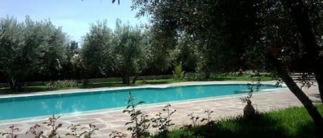 Piscine extérieure