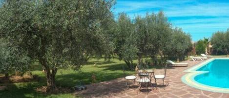 A swimming pool with a stone patio, surrounded by olive trees and a grassy area.