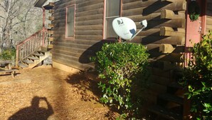 A wooden cabin with a satellite dish, a staircase, and a small garden area.