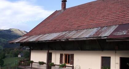 Renovated farmhouse with panoramic views