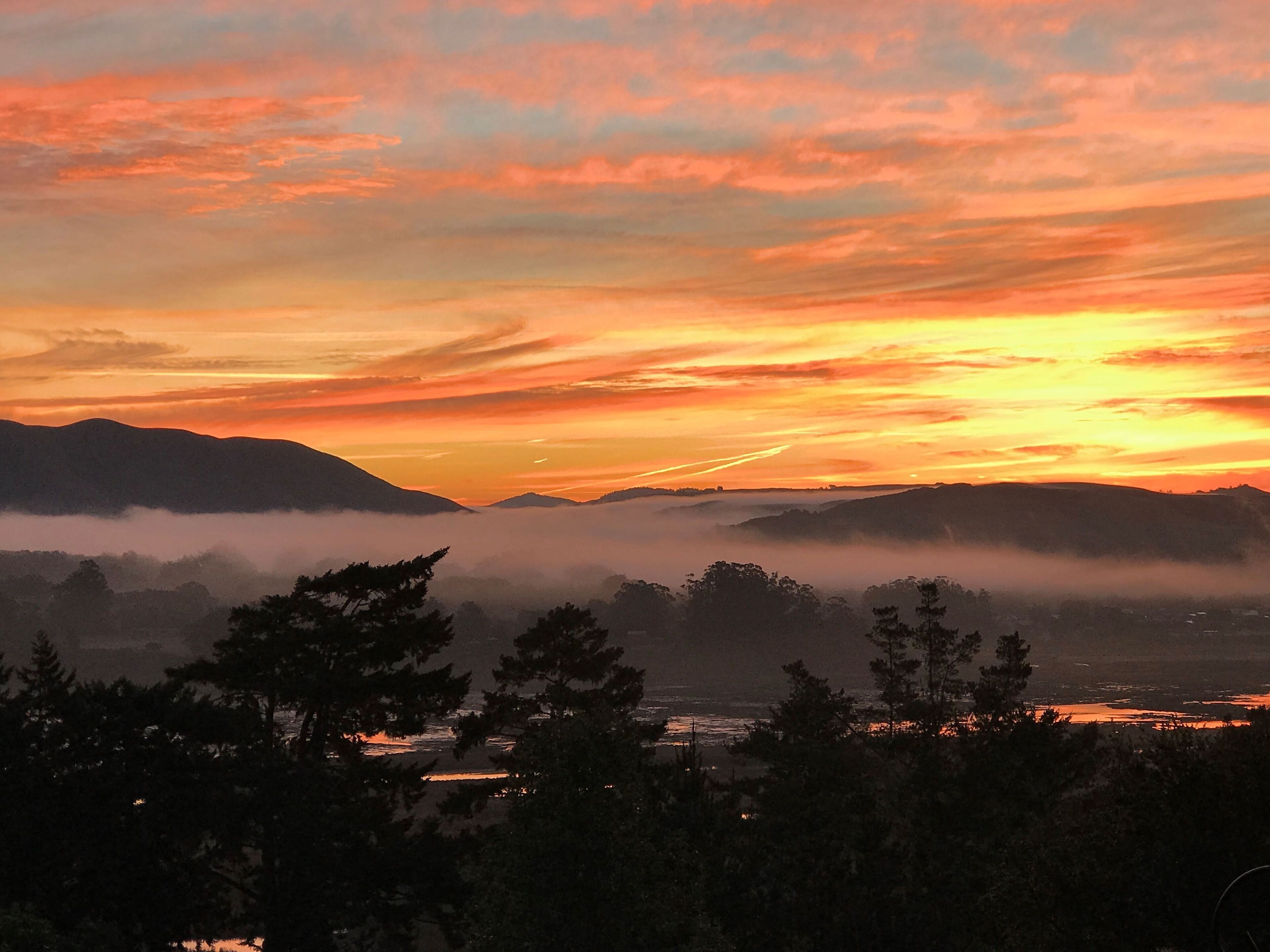 10 Best ShortTerm Rentals In Marin County, California Updated 2024 Trip101