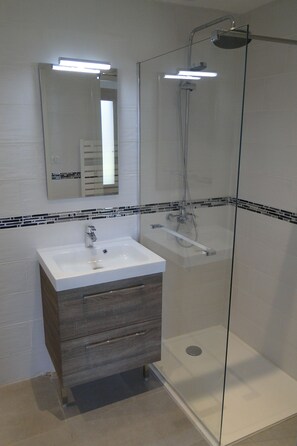 Shower, hair dryer, soap, toilet paper