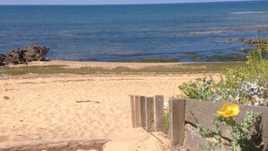 Una playa arenosa con una cerca de madera y flores amarillas al frente.
