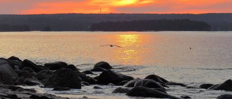 On the beach, sun loungers, beach towels