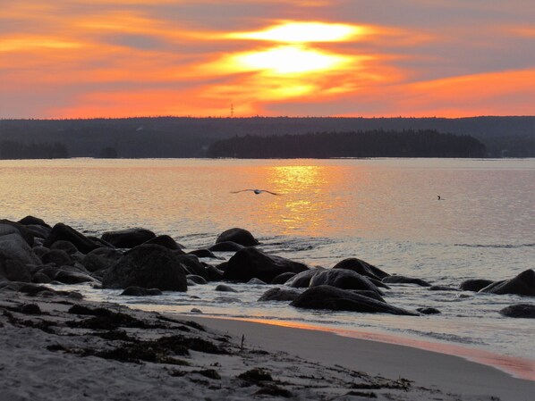 Plage, chaises longues, serviettes de plage