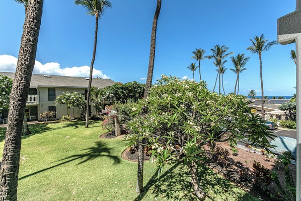A residential area with a well-maintained lawn, several palm trees, and a house with a visible balcony. - Kihei Akahi #C-203 Great Location and Rates, FREE SARONG!, Full Kitchen (Kihei)