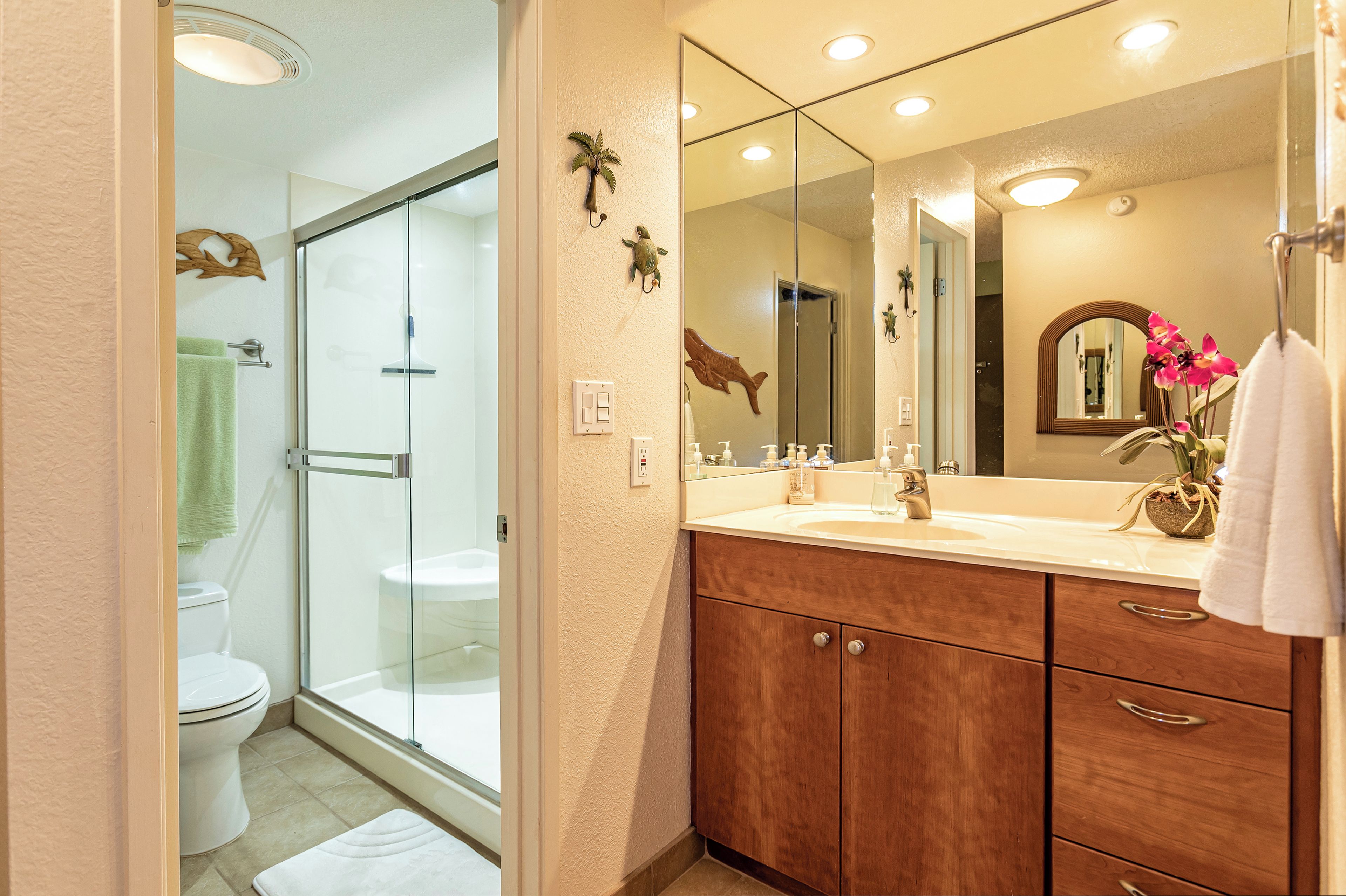 Une salle de bain avec une douche à parois de verre, des toilettes blanches, un meuble-lavabo en bois avec un miroir et une plante en pot.