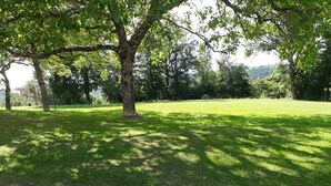 A grassy park area with trees and a clear sky. - Country house in the heart of Black Périgord (Dordogne)