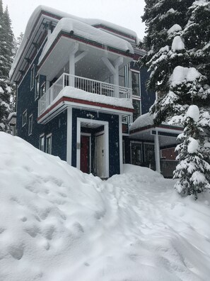 Exterior - Amazing location right on the ski way - bright home with private hot tub (Silver Star Mountain)