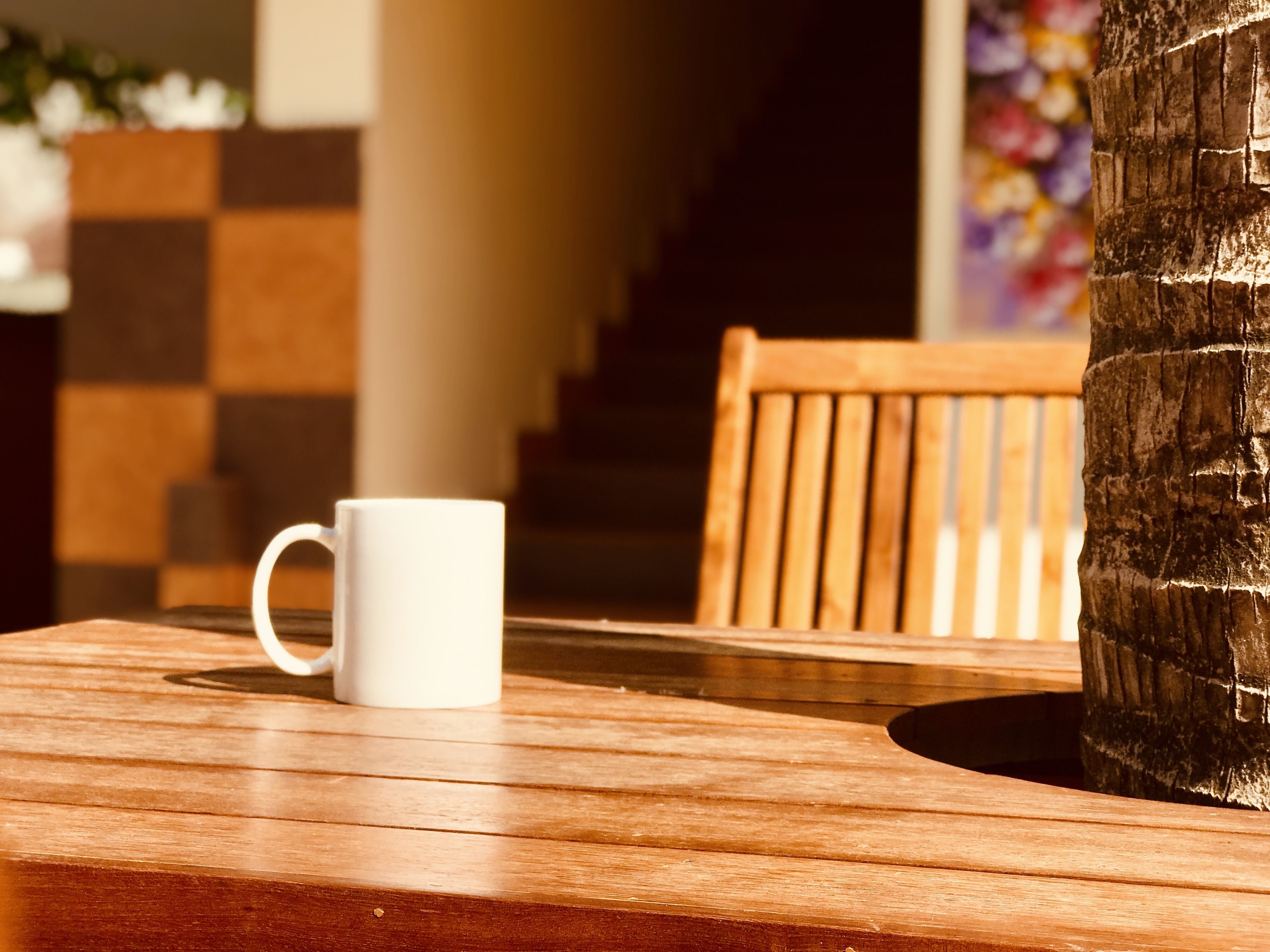 Une table en bois, une tasse blanche, un banc en bois et le tronc d’un arbre.