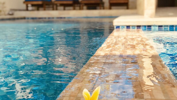 Ein Schwimmbecken mit klarem, blauem Wasser, eine Blume am Rand und blaue Liegestühle im Hintergrund.
