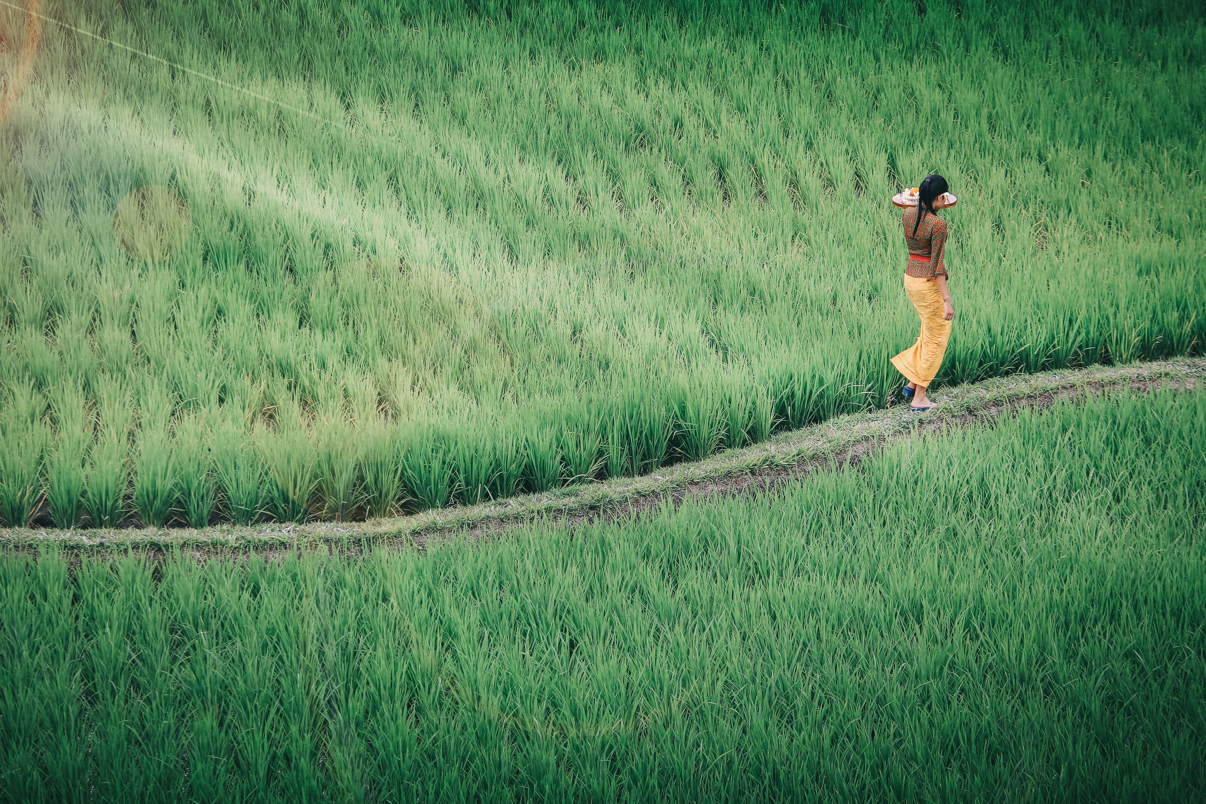 Foto - Kuwarasan A Pramana Experience