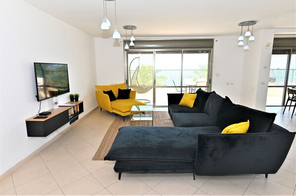 Flat-screen TV, video games, books