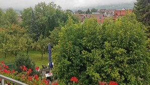 A garden with a table and chairs, surrounded by lush greenery and red flowers. - Hartmann (Neuffen)
