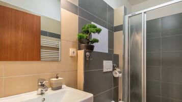 Hair dryer, towels, shampoo, toilet paper