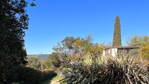 Un chemin de pierres traverse un jardin où poussent différentes espèces de plantes, et un grand arbre à feuilles persistantes se dresse à l’arrière-plan.